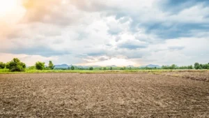 Esplanada da estação lote com 125m